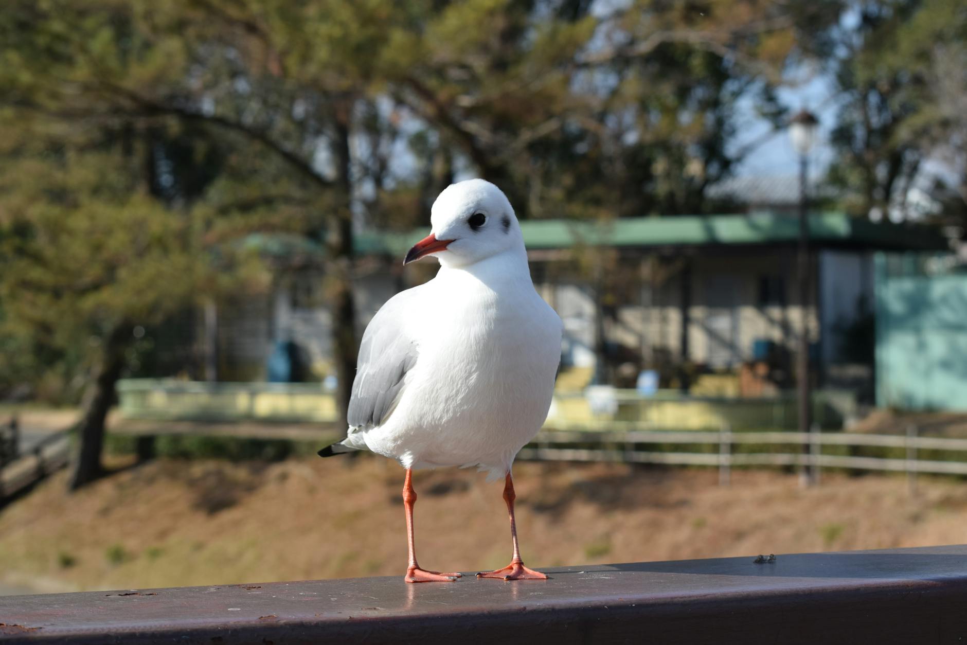 구마모토 브로셔 신청